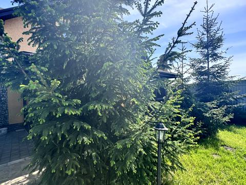 будинок за адресою 1 Травня вул.