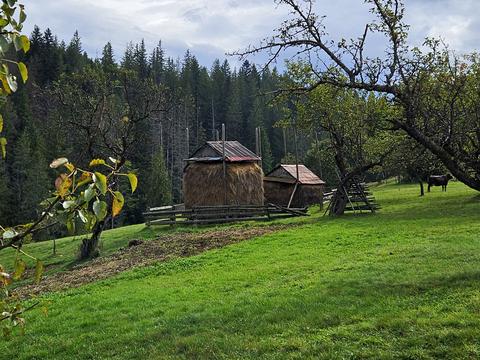 участок по адресу с. Микуличин, Данила Галицького