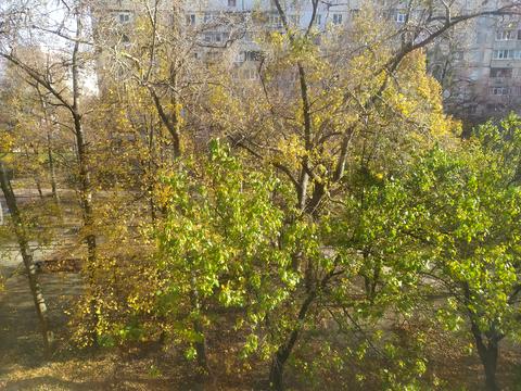 квартира за адресою Перемоги просп., 64