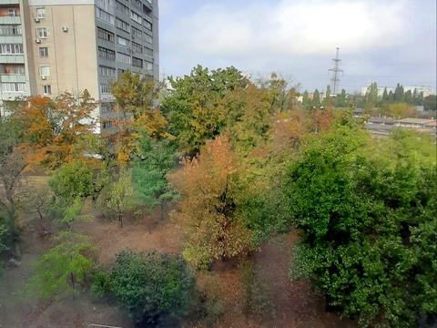 квартира по адресу Танкопия ул., 24