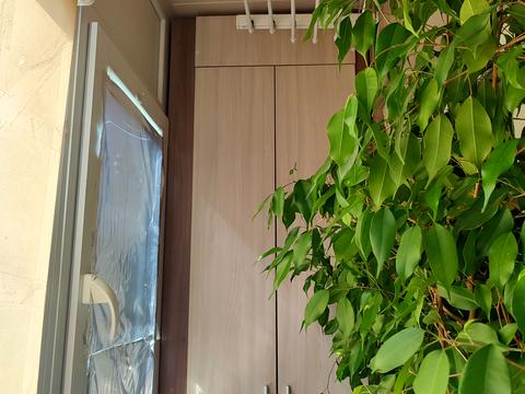 квартира за адресою Космонавтів вул., 6