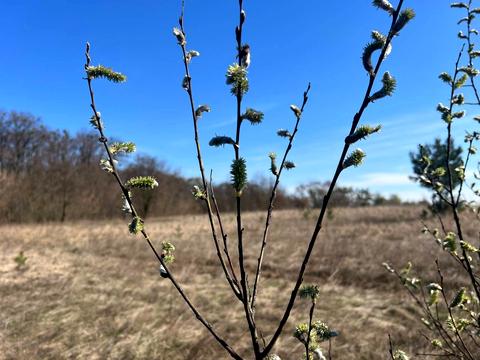 ділянка за адресою вул. Василькова, 2