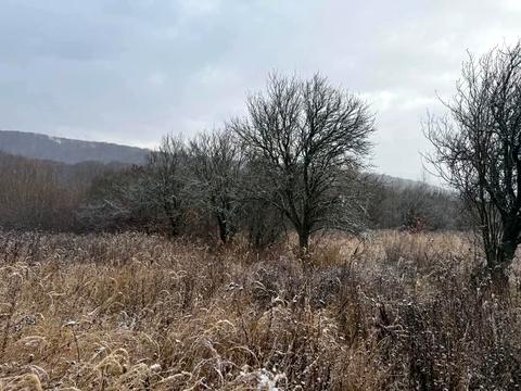 участок по адресу 