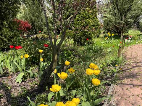 дом по адресу Брилів шлях