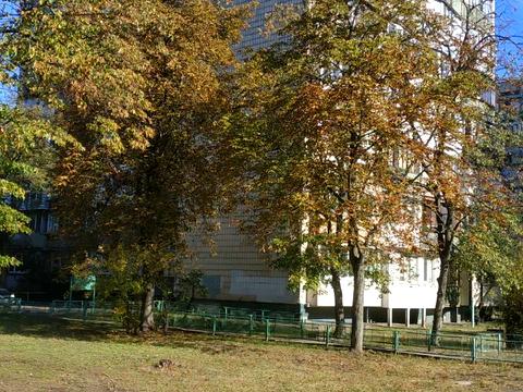 квартира по адресу Лесной просп., 19