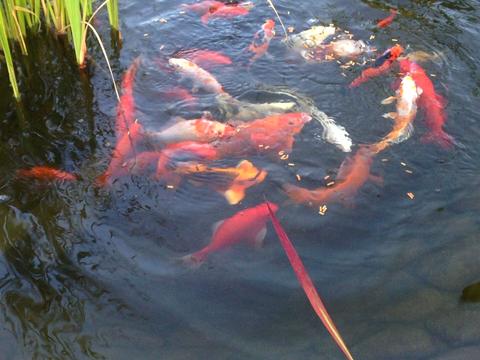 будинок за адресою Валова вул.