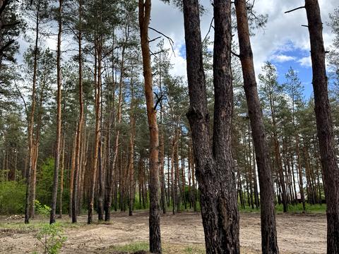 ділянка за адресою с. Піщанка, Зелена