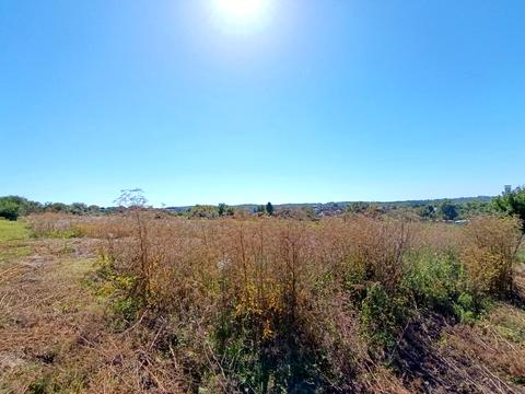 участок по адресу Каменецкая ул., 269