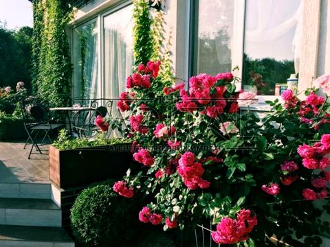 будинок за адресою Дубчанская 