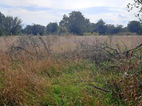 ділянка за адресою Котляревского