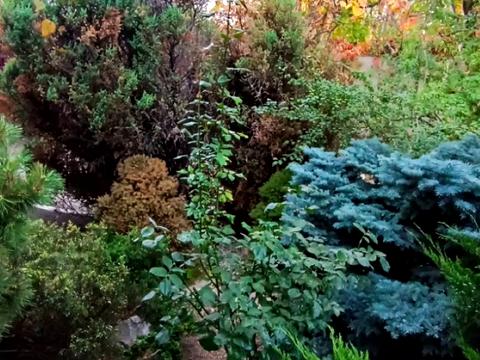 будинок за адресою Дачна вул., 8а