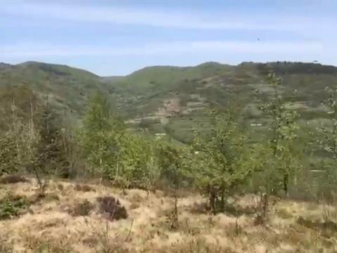 ділянка за адресою Шевченка