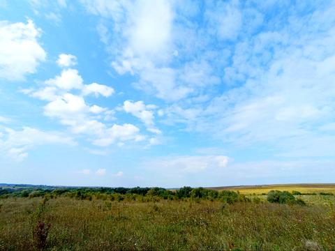 ділянка за адресою СТ Грузевицький-1