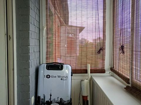 квартира по адресу Геннадія Афанасьєва ул. (Костянтина Заслонова), 13-А