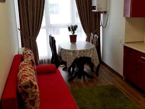 квартира за адресою Вул. Чорновола, 91