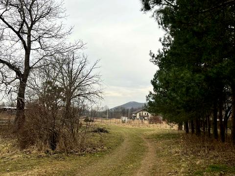 ділянка за адресою с. Козулька, запасіка, 19