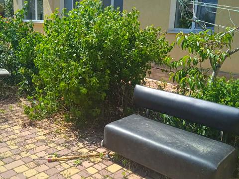 комната по адресу пер Тенистый, 6