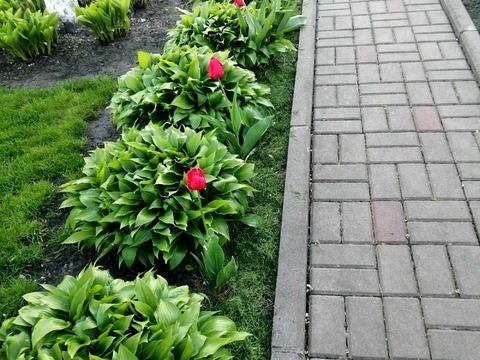 будинок за адресою Першотравнева вул.