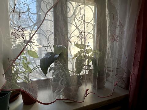 квартира за адресою Прогресивна вул., 10