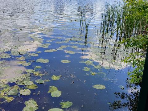 ділянка за адресою Набережна, 20