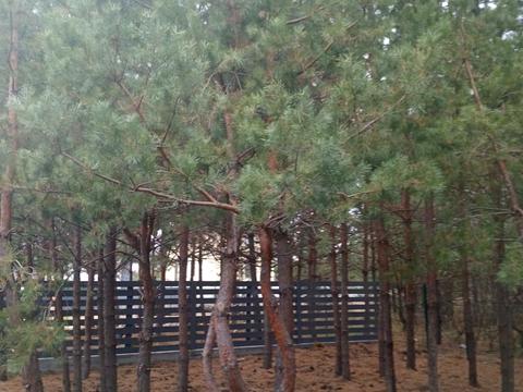 будинок за адресою Васильківська