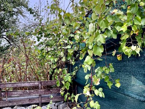 дом по адресу провулок Сонячний