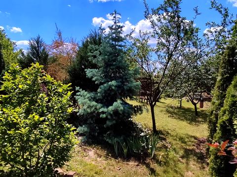 будинок за адресою Олександрівська