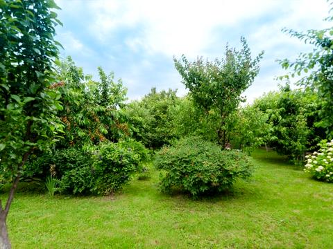 будинок за адресою кременчуцька, 1