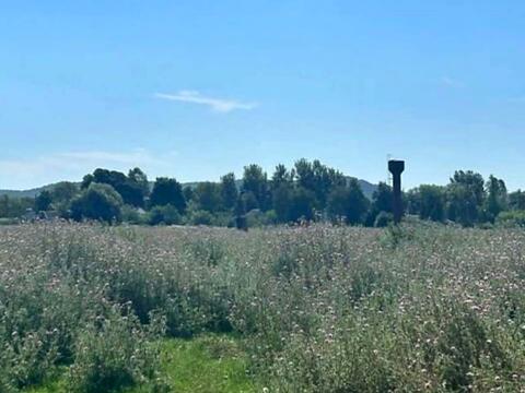ділянка за адресою Кременецька вул.