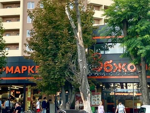 коммерческая по адресу Одесская ул., 41-Б