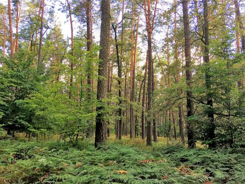 квартира по адресу Олевская ул., 7