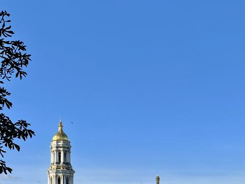 участок по адресу Лаврская ул. (Январского восстания), 23