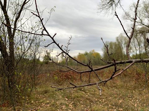 ділянка за адресою 