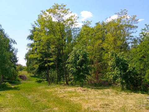будинок за адресою Корабельна вул.