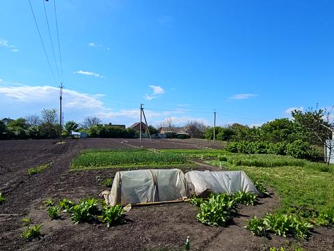 дом по адресу Покровська ул. (Жовтнева)