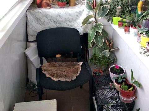 квартира по адресу Джерельна ул. (Родникова), 77