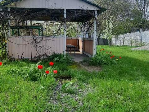 1796574143945746