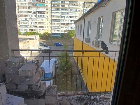 квартира за адресою Милославська вул., 31-В