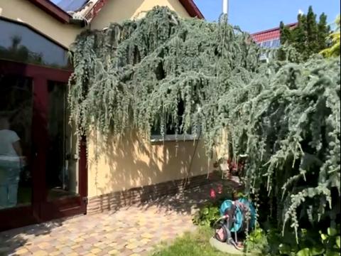 будинок за адресою Соляна вул.