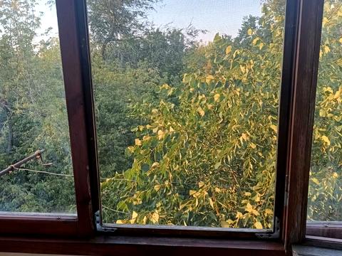 квартира по адресу Староказацкая ул. (Комсомольская), 62а