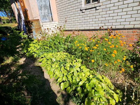 дом по адресу Центральна, 27 а