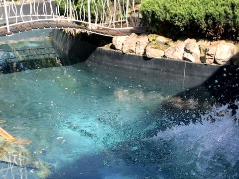 будинок за адресою Зарічна