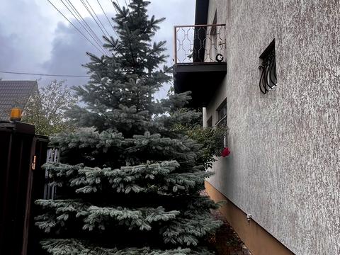 дом по адресу Николаевская ул.