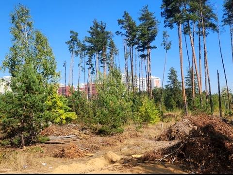 участок по адресу незалежності