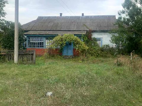 дом по адресу Шкільна, 19