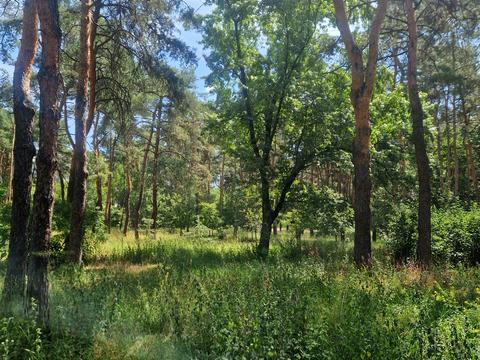 квартира по адресу Воскресенская ул., 2-В