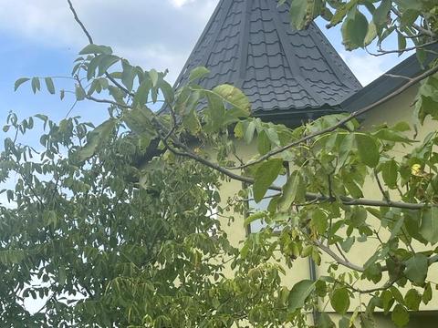 будинок за адресою Соборності