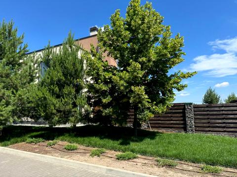дом по адресу Европейская  ул., 4