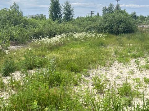 участок по адресу Центральная ул.