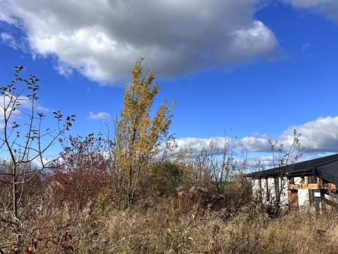 участок по адресу 